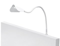 BUTTERFLY S - bílá - studená bílá